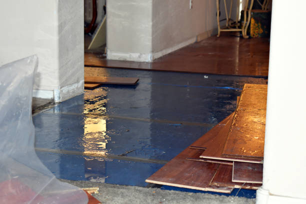 Professional Basement Flood Cleanup technician working in Nelsonville, OH
